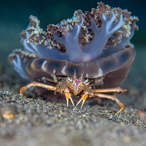 Post by alexmustard1