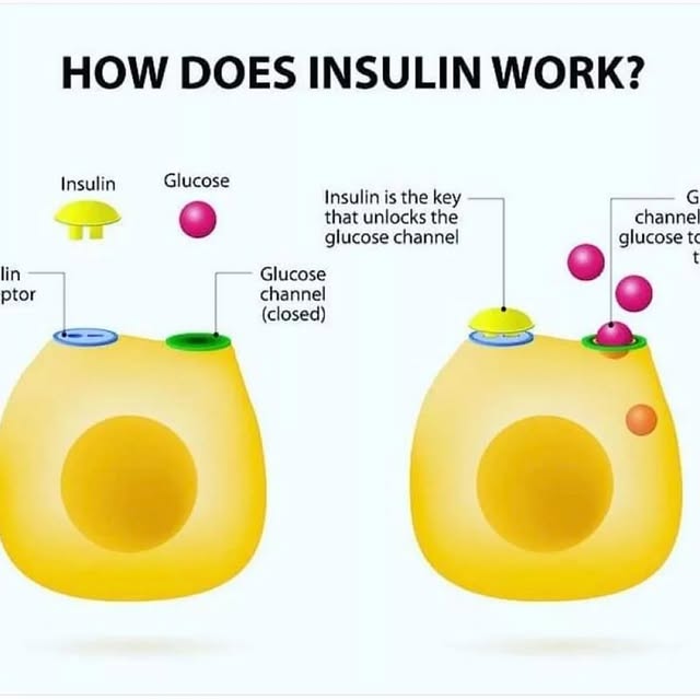 Post by reverse_diabetesnaturally