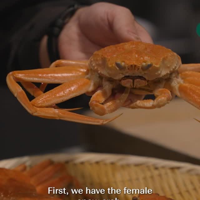 Post by hanayorkville