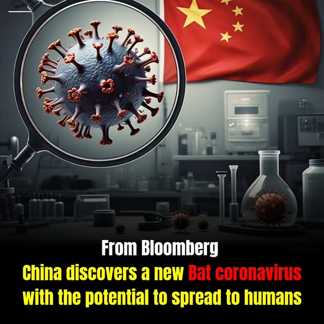 Post by boomingbulls