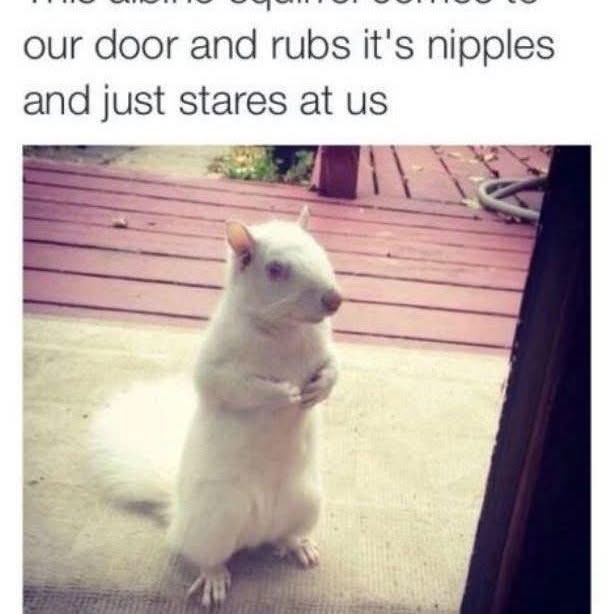 Post by furbabyfriend