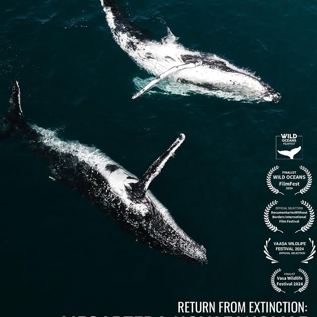 Post by jakemasondiving