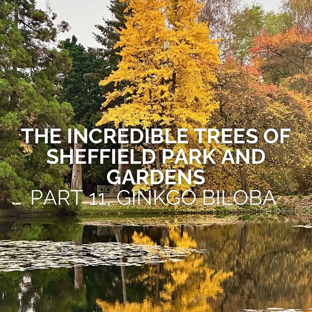 Post by joeperkinsdesign