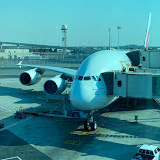 V1 Rotate's profile picture