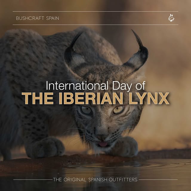 Post by bushcraftspain