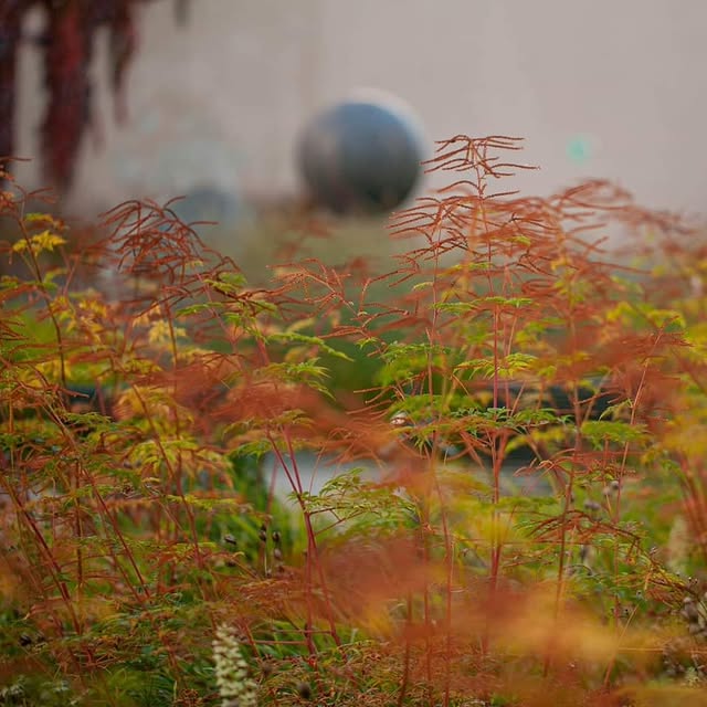 Post by rasalaurinaviciene