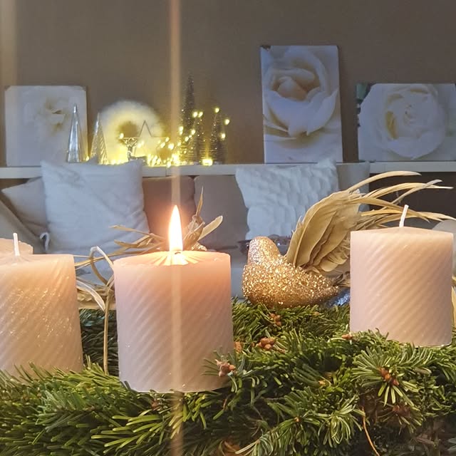 Post by notreroseraie