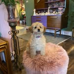 our_casa_flamingo