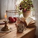 Lena 🇳🇴's profile picture