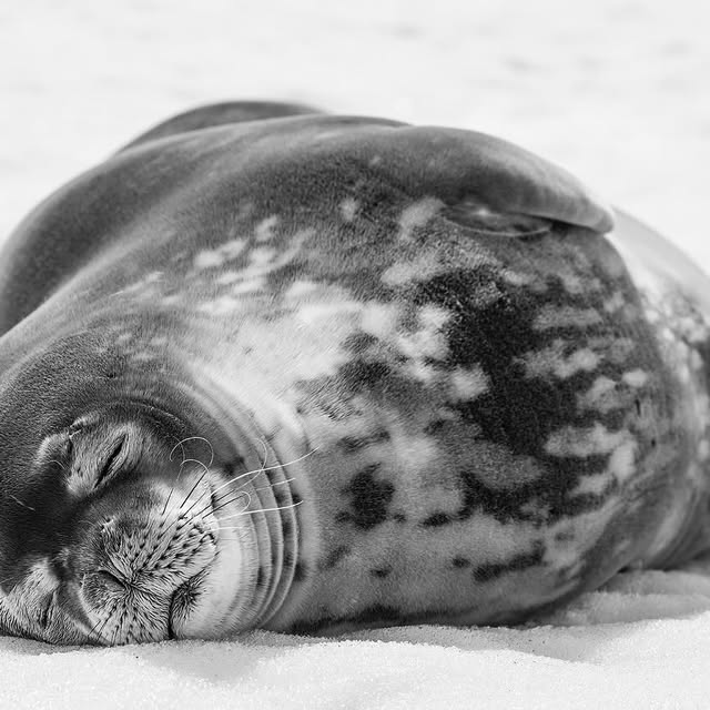 Post by mattysmithphoto