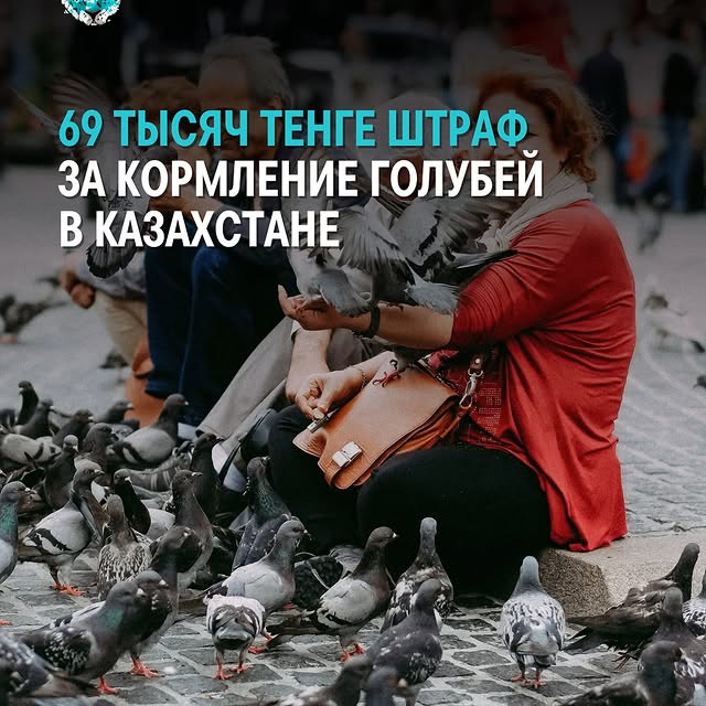 Post by almatynews_kaz