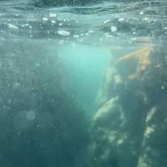 Post by maxim.lavrin