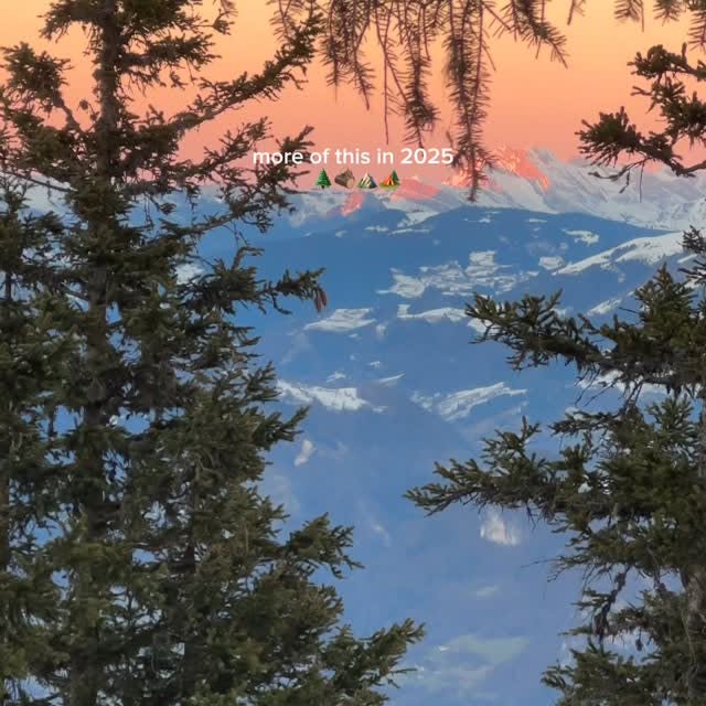 Post by momentsabloom