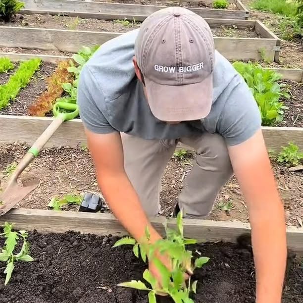 Post by thegoodgarden.co