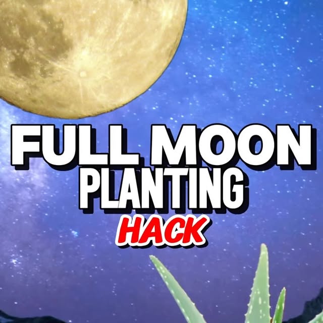 Post by cultivateelev8