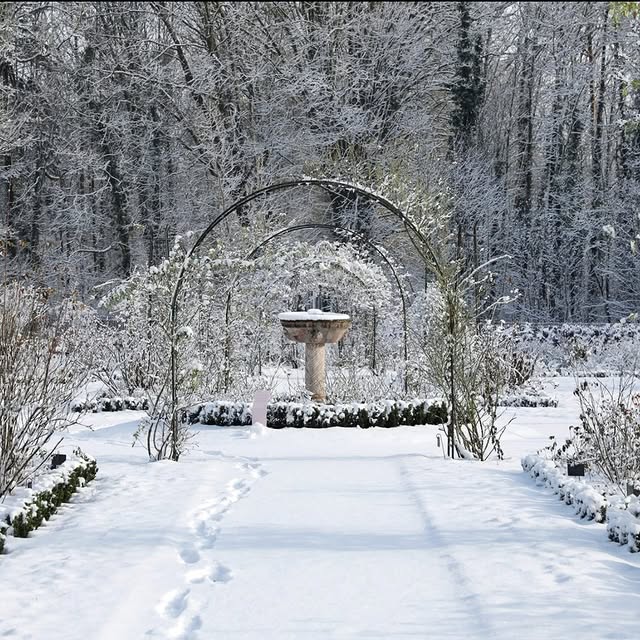 Post by classic_garden_e