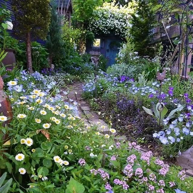 Post by thegardeningspirit