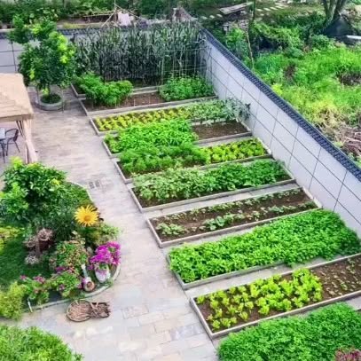 Post by daily_gardening_life