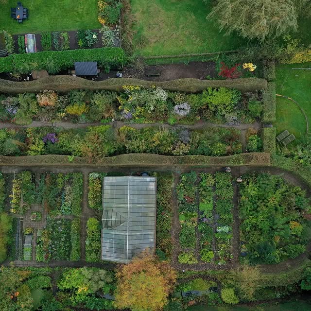 Post by basilikum_und_kaktus