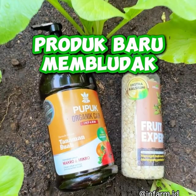 Post by infarm.id