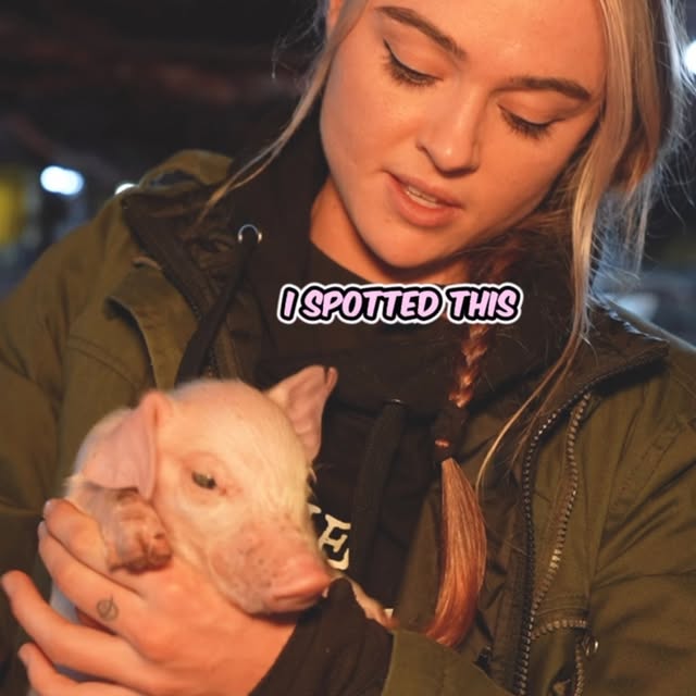 Post by tashpeterson