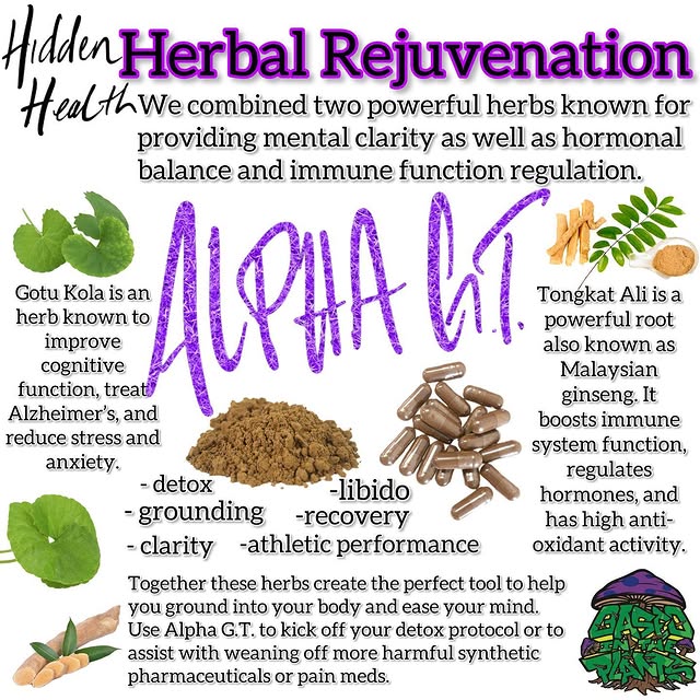 Post by hiddenhealthnootropics