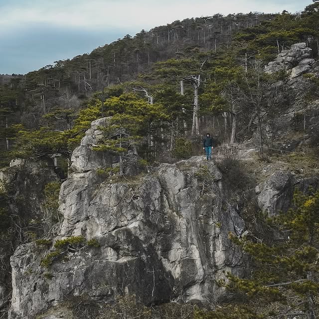 Post by timdreher.visuals