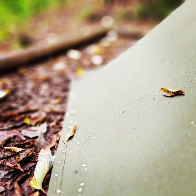 Post by shu_camp_log