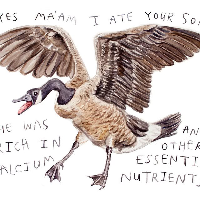 Post by heatherbuchanan