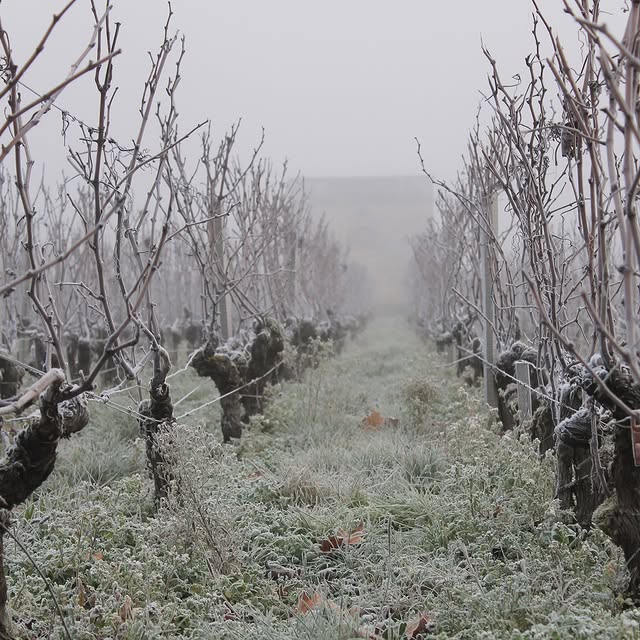 Post by chateaumarquisdalesme