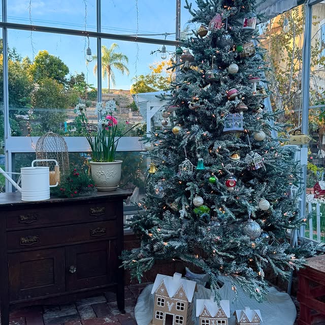 Post by rootedinthyme