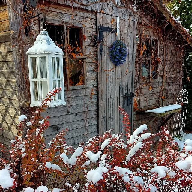 Post by imperfect_garden_pl