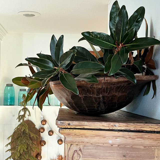 Post by farmhouseonoakridge