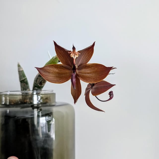 Post by philobrandon