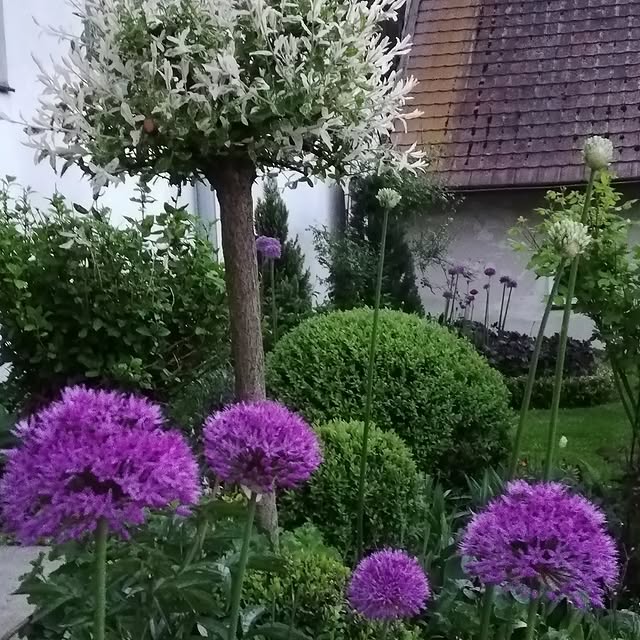 Post by gartenheidisuess