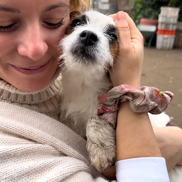 Post by fabiolavegmamy