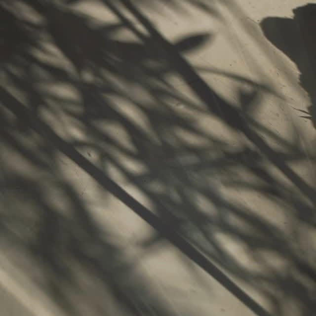 Post by mo_wangfujing