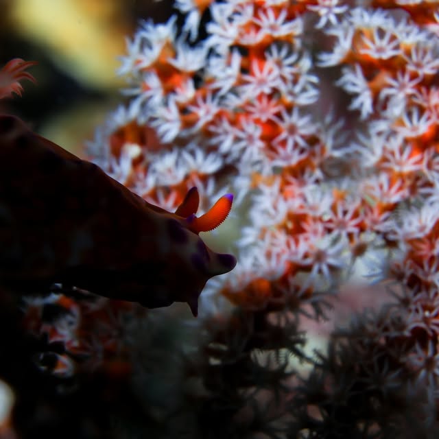 Post by islife_kosei