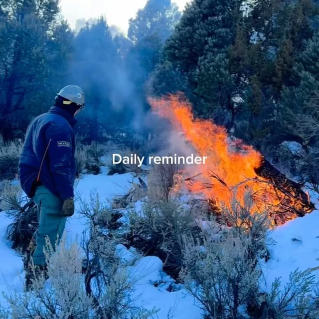 Post by nevada_fuels