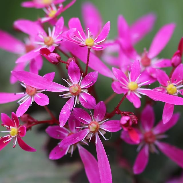 Post by katrins_garten