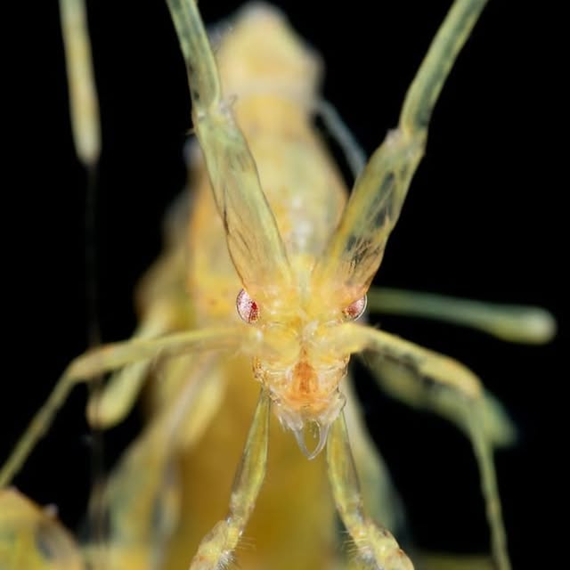 Post by underthesea_perfection