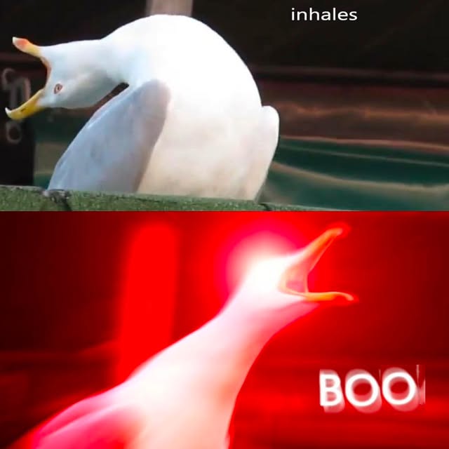 Post by celticgoals_original