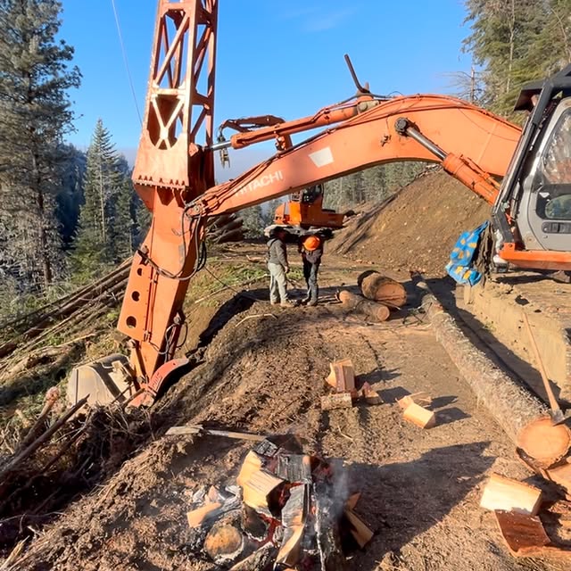 Post by rupps_timber