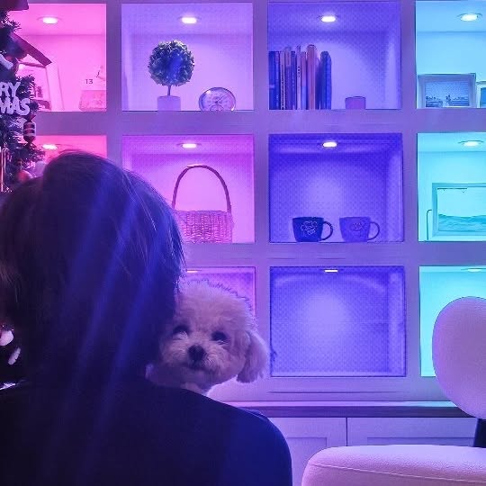 Post by sherrainelaw