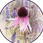 Mariann Gundersen's profile picture