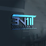 3N1 IT Consultants