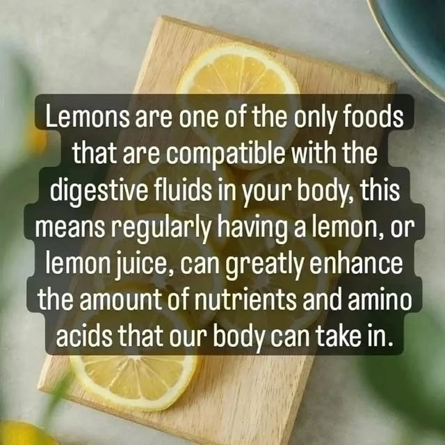 Post by wegoplantbased