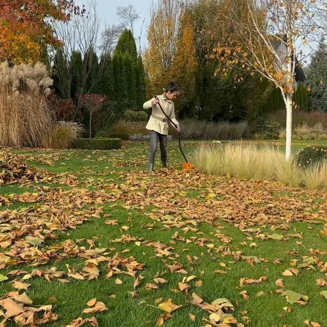 Post by garden_by_marta