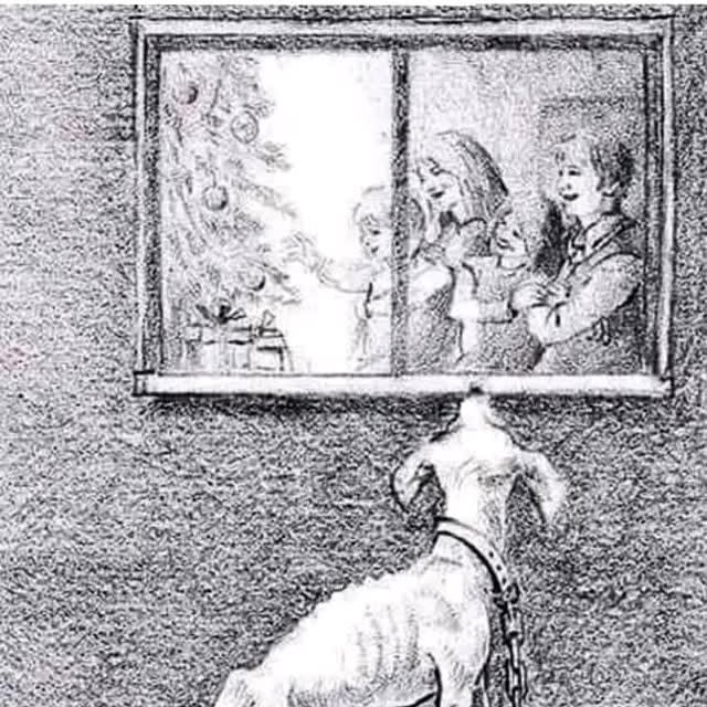 Post by kaktoos_doosha_romashku