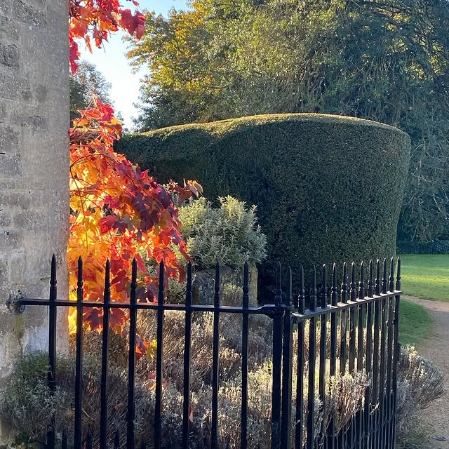 Post by roushamgardens